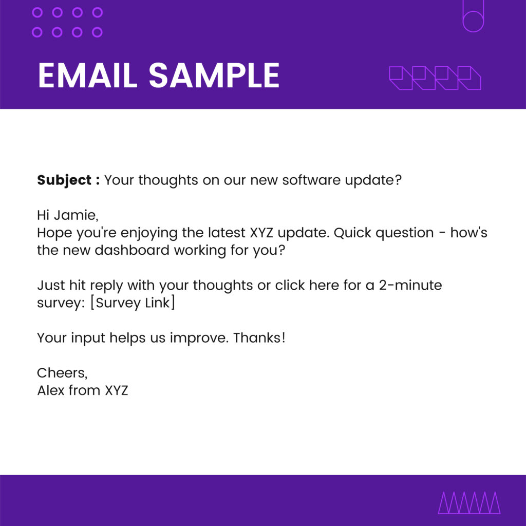 Voice of Customer Email Template